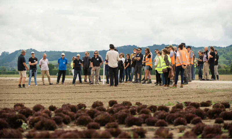 A group of people stands in a field, some wearing safety vests and others in casual clothing, listening to a speaker. Rows of crops are visible in the foreground, with hills and cloudy skies in the background.