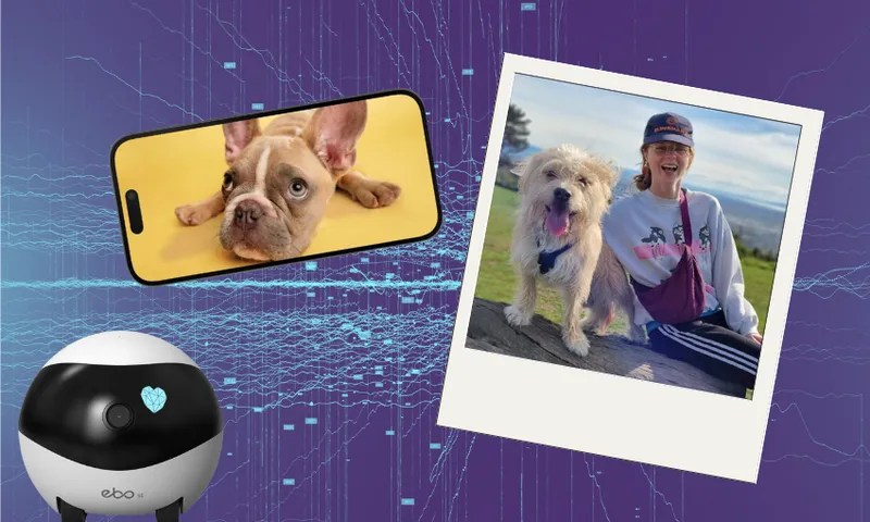 Liv feature images  - 5