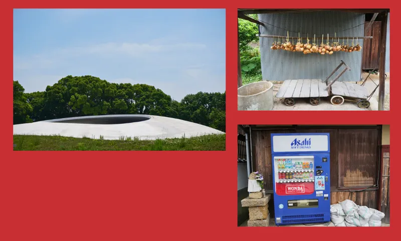A collage with a modern white dome structure set in greenery on the left, onions hanging to dry on a rack above a wooden cart top right, and a blue beverage vending machine outside a rustic building bottom right.