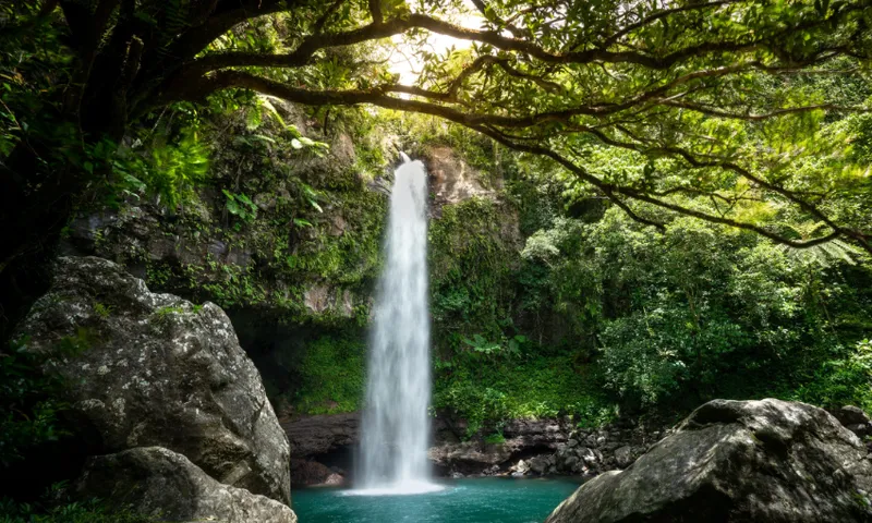 landscsape photo of a waterfall and small rock pool surrounded by forest and large rocks