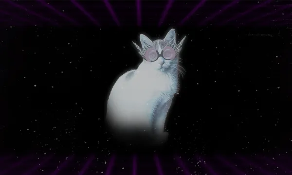 Why is the internet so obsessed with cats?