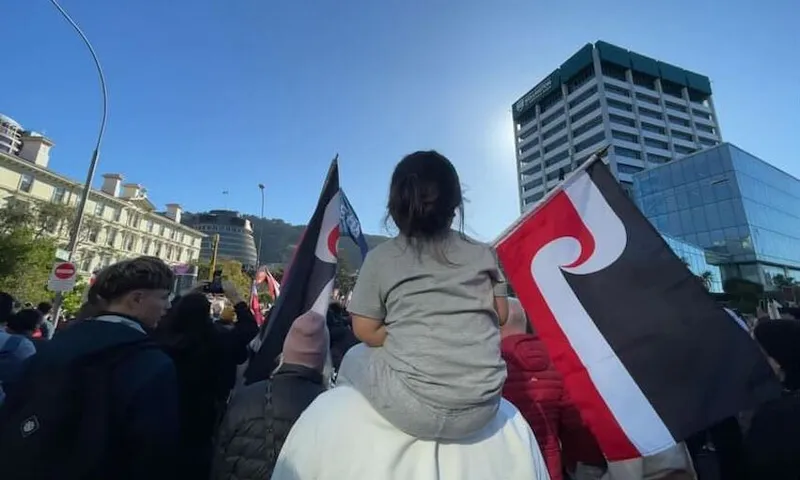 a young girl sits on an adult's shoulders, holding a tino rangatiratanga flag in each hand