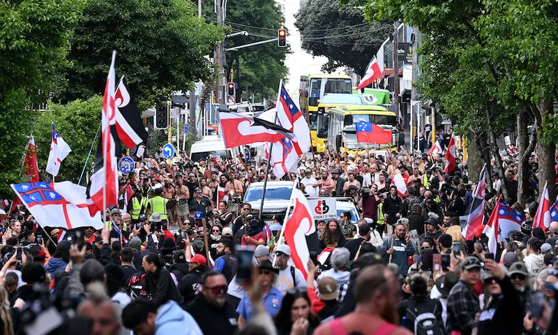 Hikoi In Opposition To The Treaty Principles Bill Arrives In Wellington