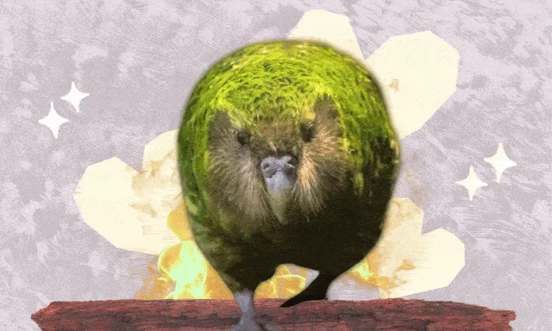 A round, green, mossy animal with a small face and short legs stands on a red surface, with a yellow abstract background and sparkles.