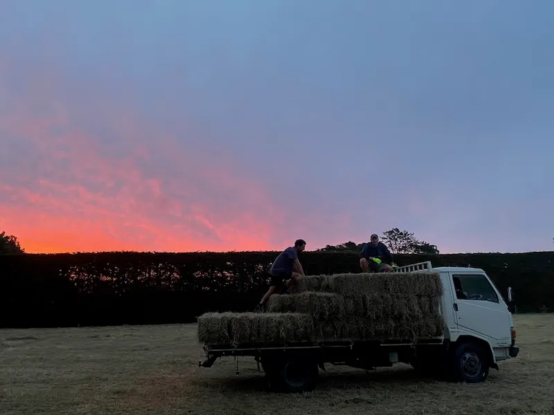 Two people sit on a truck loaded with hay bales in a paddock at sunset, with a dramatic pink and blue sky in the background.