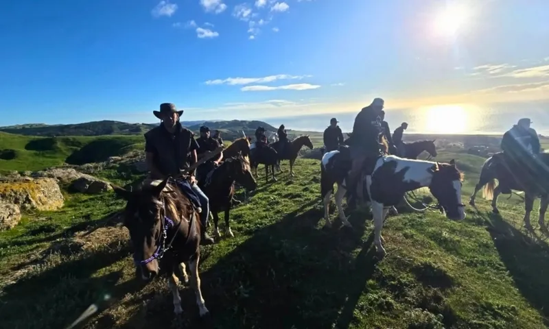 A group of people ride horses on a grassy hill under a sunny sky, with the ocean and coastline visible in the background.