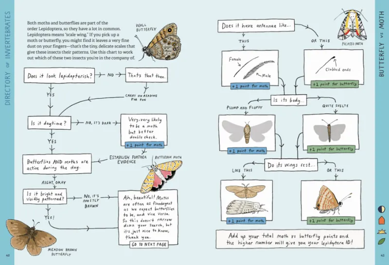 A spread from the book Pocket Observology by Giselle Clarkson, showing the lifecycle of a moth.