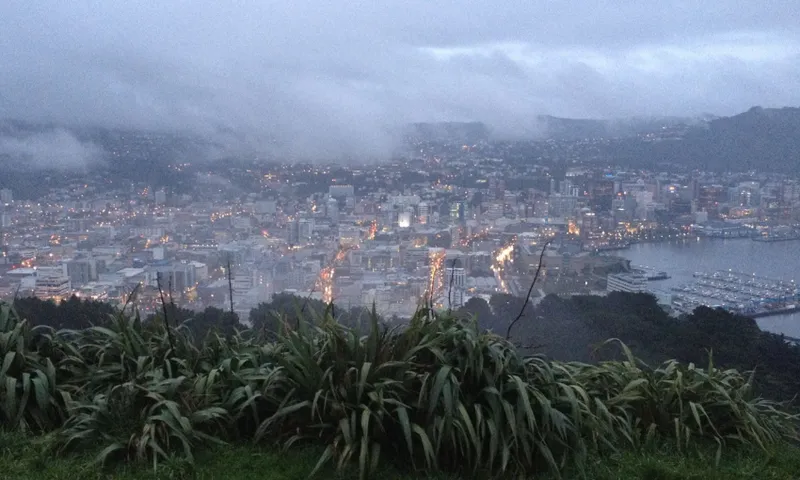 A shot from up high of Wellington, with the streets lit gold