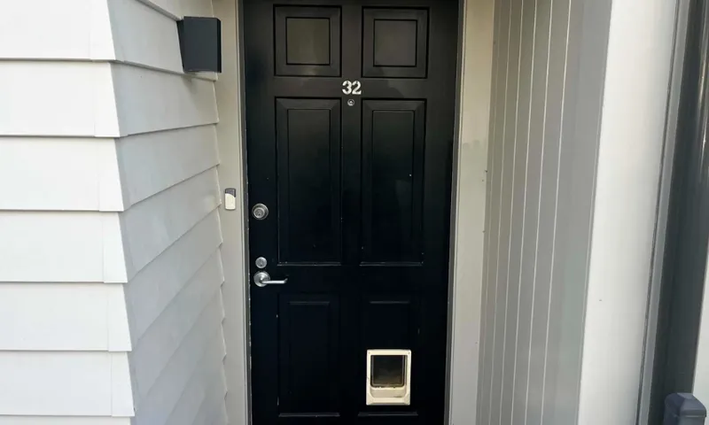 A back front door, with a white cat door