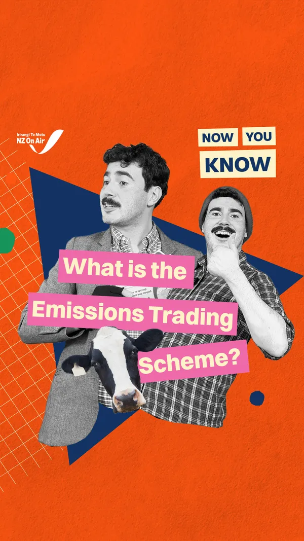 What is the Emissions Trading Scheme?