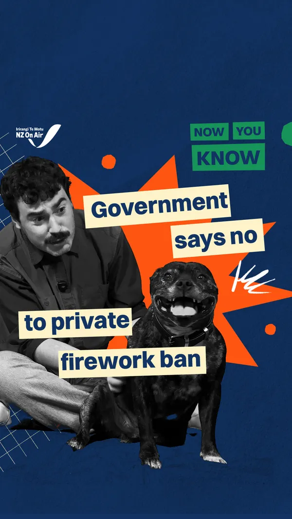 Government says no to private fireworks ban