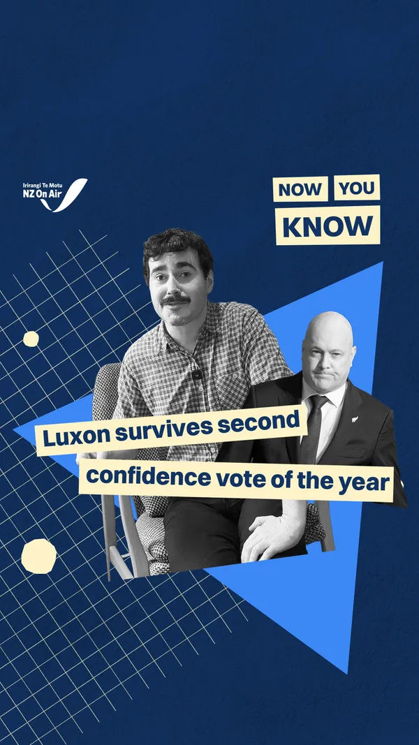 Luxon survives second confidence vote of the year