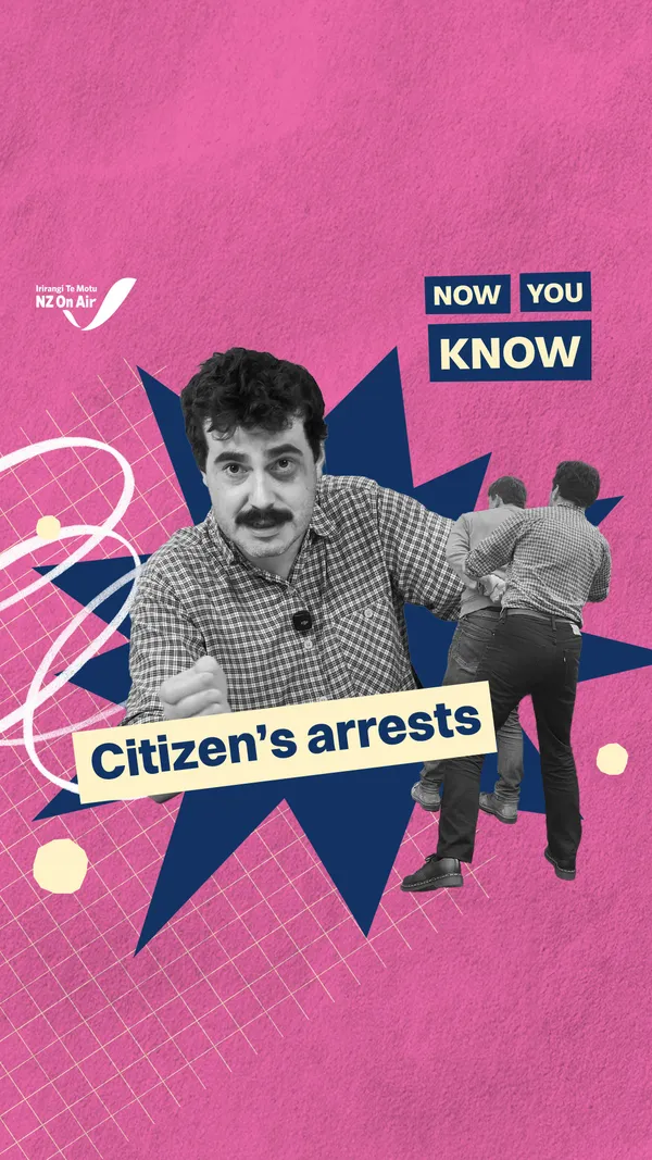 NZ expands citizen’s arrest laws
