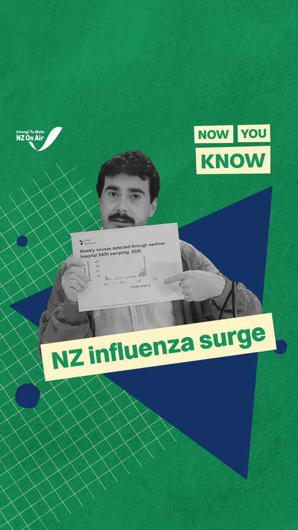 NZ’s influenza surge