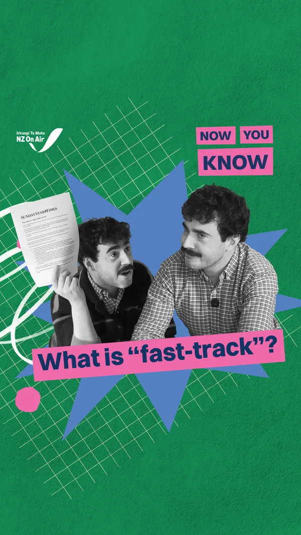 What is “fast-track”?