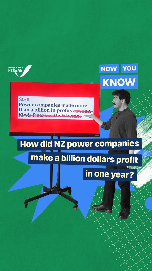 How did NZ power companies make a billion dollars profit in one year?