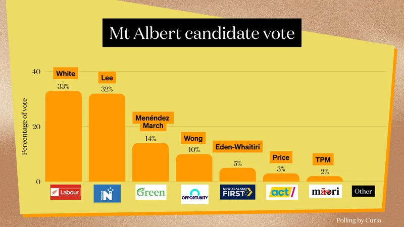 Bar chart titled “Mt Albert candidate vote” shows candidates’ vote percentages: White (38%), Lee (32%), Menéndez March (14%), Wong (10%), others under 5%. Party logos shown below candidate names.