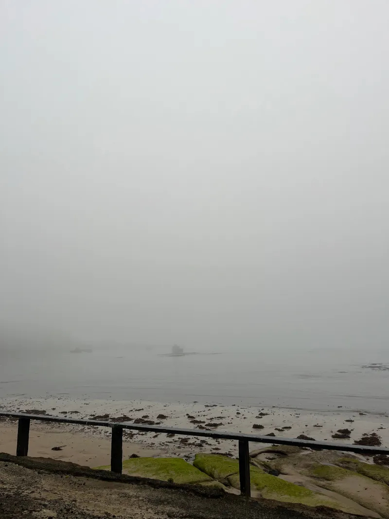 The Chatham island's famous mist blends the sea and sky into one. (Photo: Lyric Waiwiri-Smith/The Spinoff)