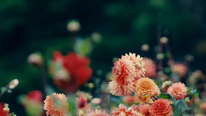 Uploaded Image