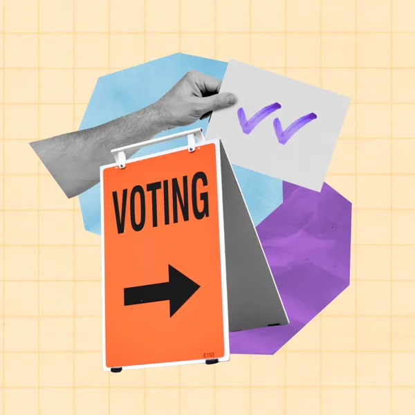 ‘Looming disaster’: Andrew Geddis answers your questions on enrolment and voting