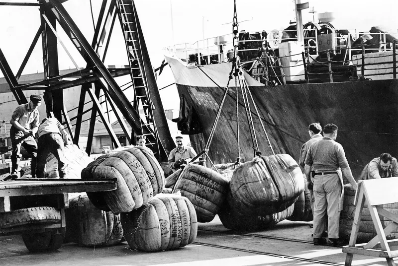 A black and white image of men loading bales of wool onto a ship.